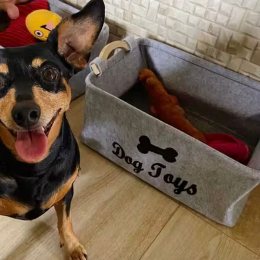 Cesto Organizador Objetos Brinquedos Pet Cachorro Gato